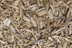 biomass boilers Vidlin