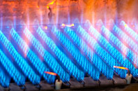 Vidlin gas fired boilers